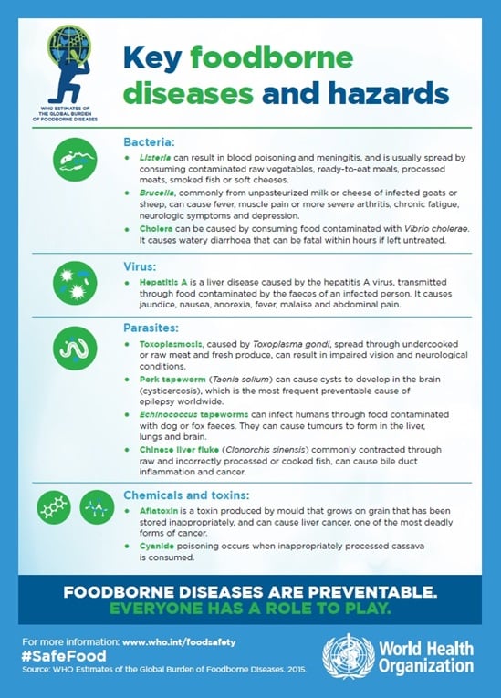 Key foodborne diseases and hazards factsheet