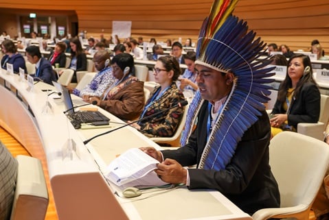 A participant to the 76th WHA, wearing a traditional American indian headgear