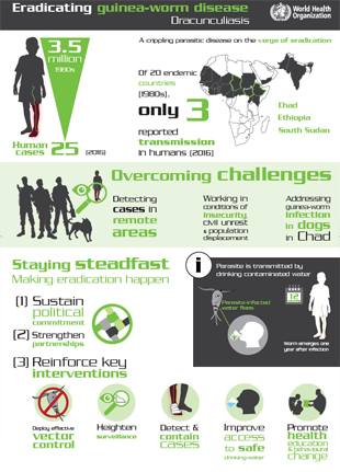 Dracunculiasis_infographic_GW_2017_310px