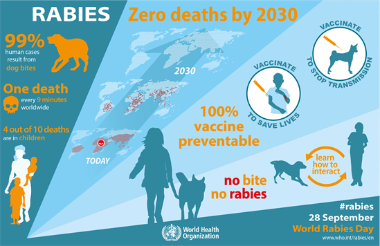 World Rabies Day 2016 Infographic