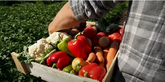 FR Nutrition information system video thumbnail