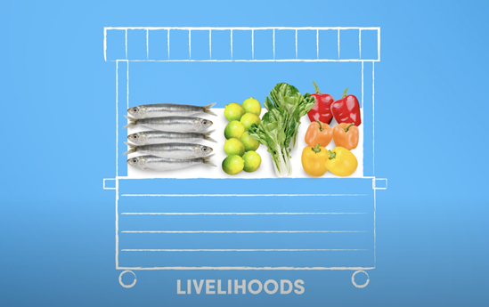 Food Systems Our food, our health, our future thumbnail