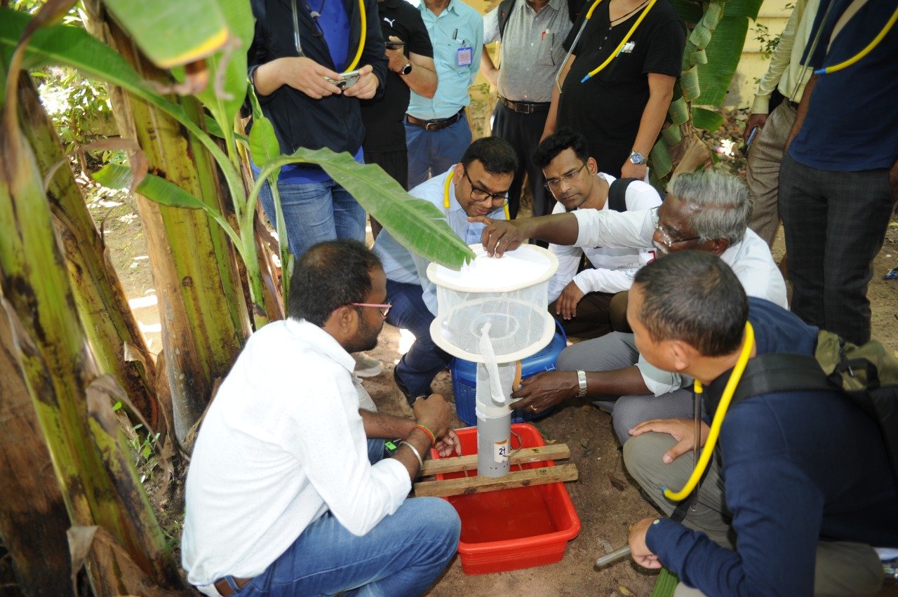 An expert demonstrating adult mosquito collection