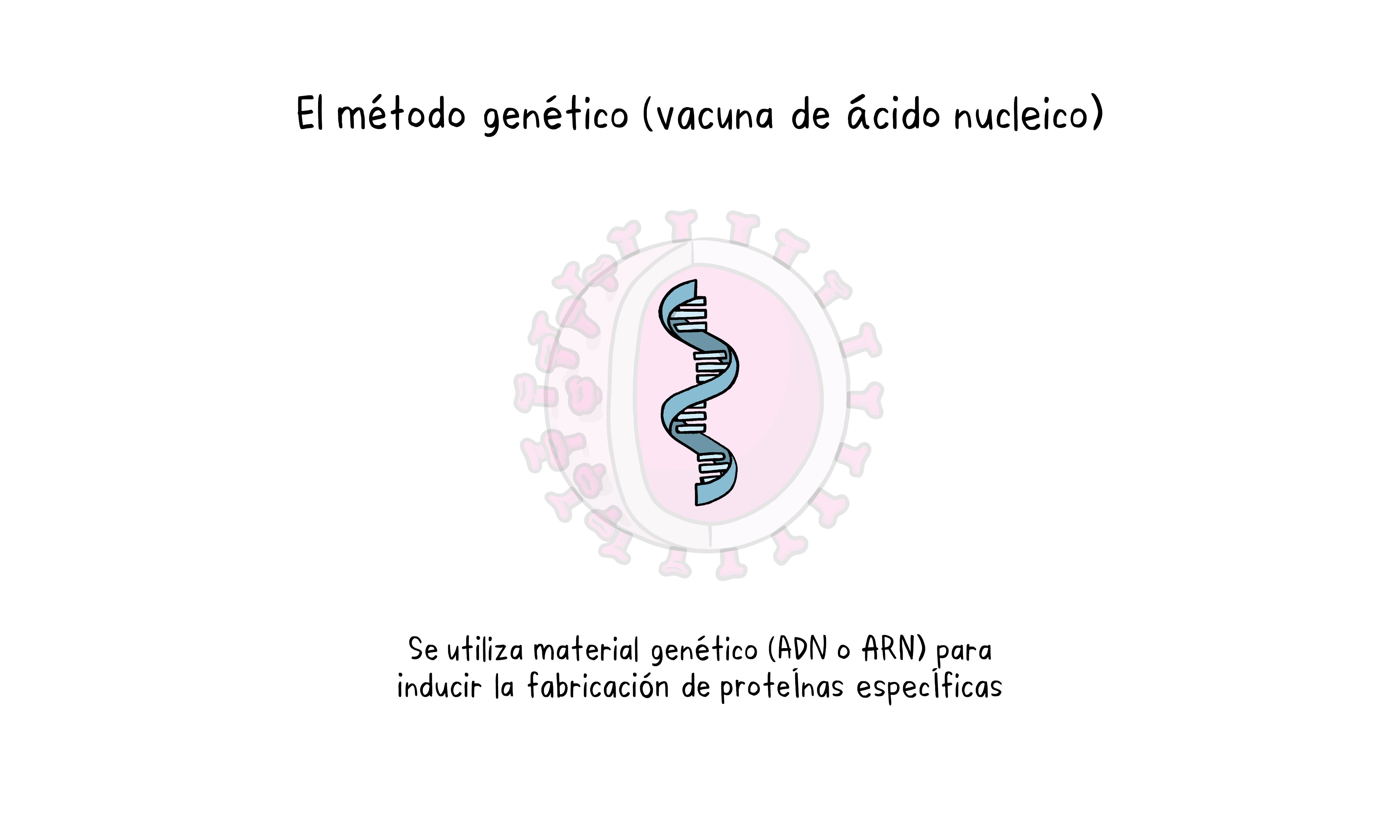 Vaccines Topics Four images working 04 Vaccines Topics Four images working 04