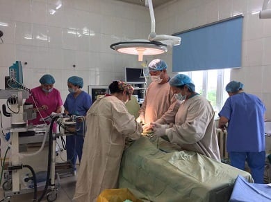 subnational_health_systems5