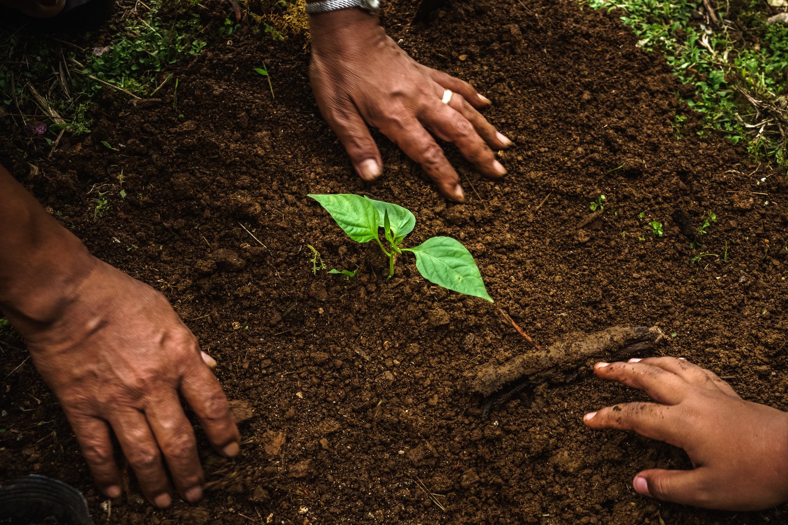 Asian pacific forum on health and the environment